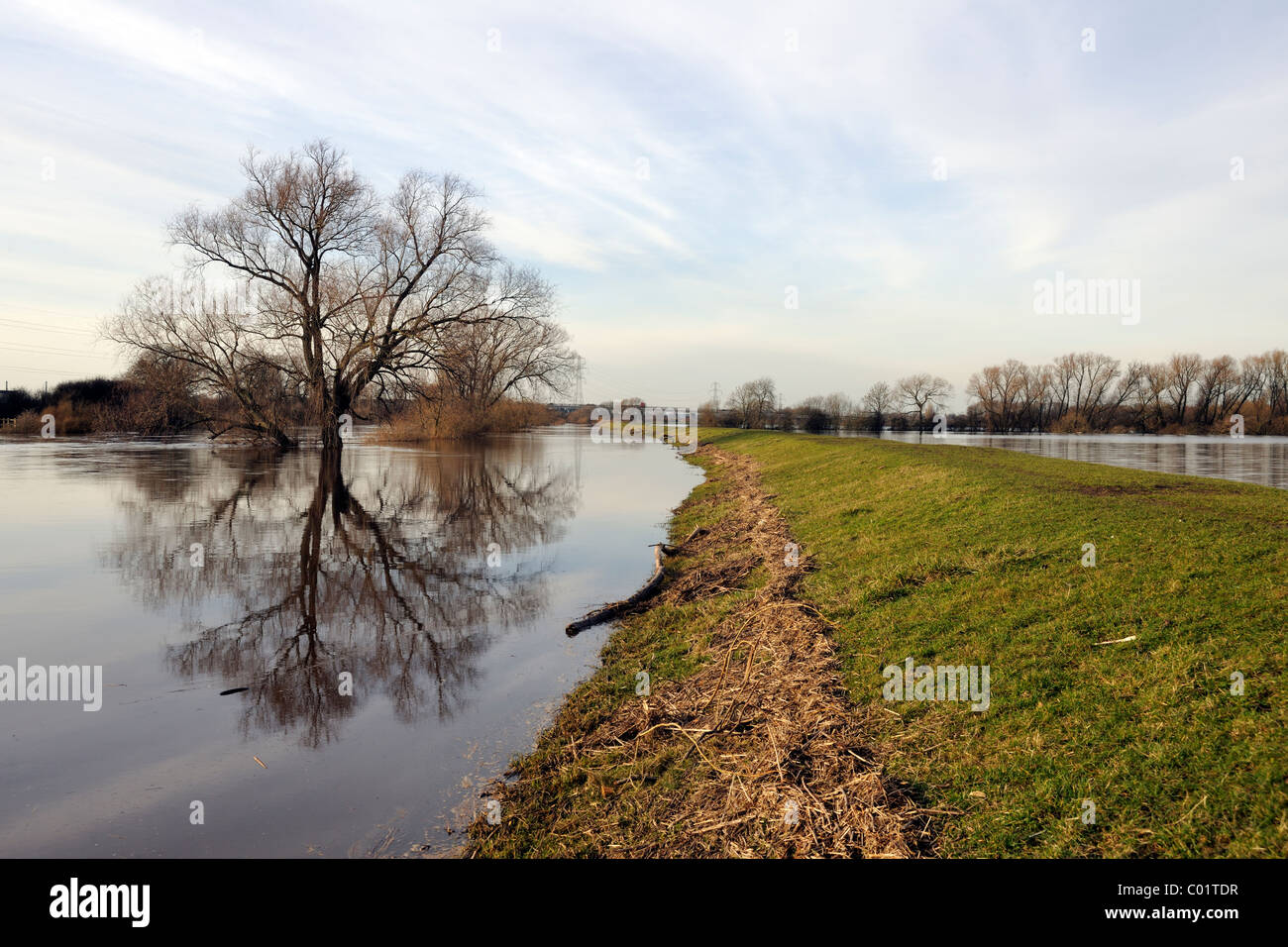 Guardando a monte accanto al fiume allagata Ouse, York, Inghilterra Foto Stock