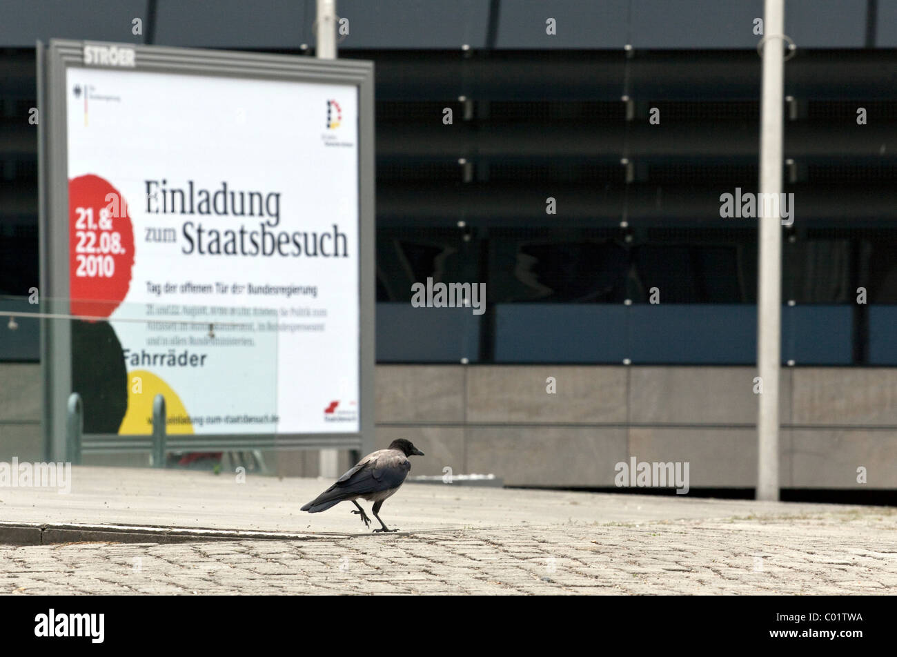 Crow davanti a un poster promozionale del Governo Federale, Berlino, Germania, Europa Foto Stock