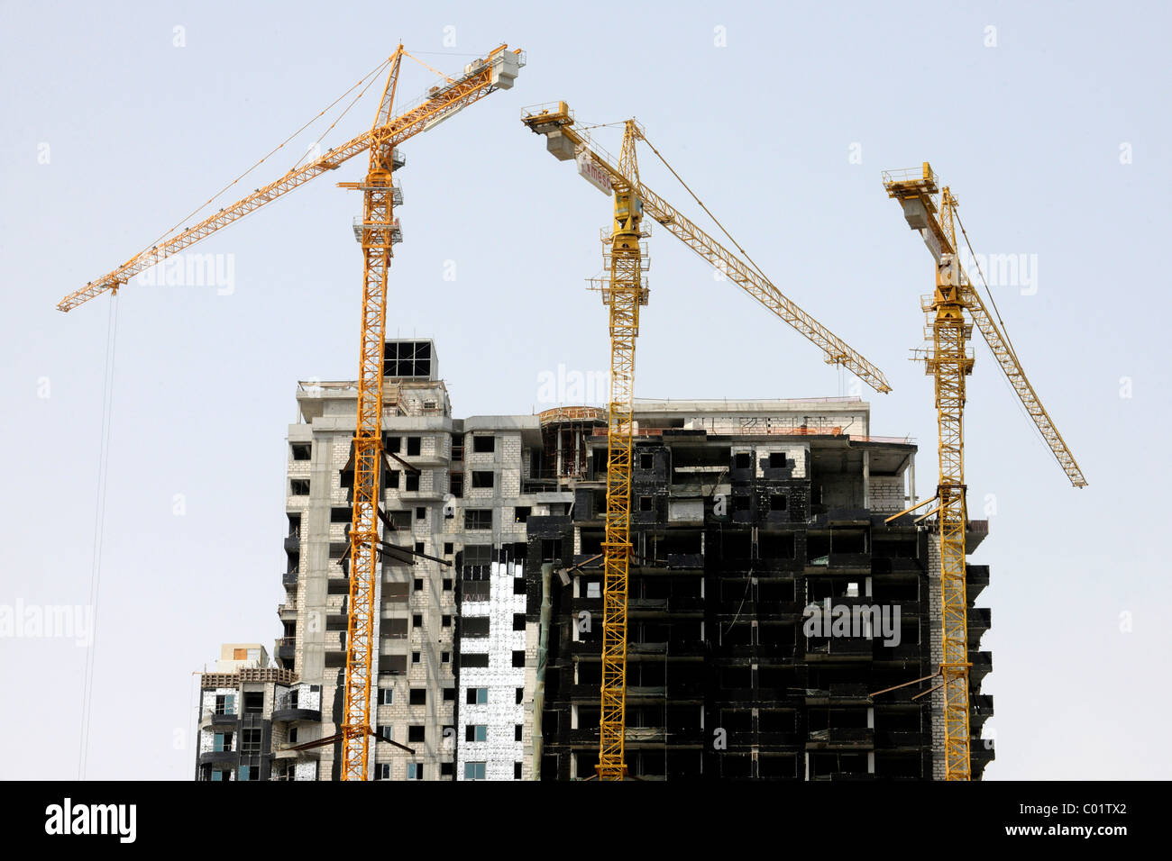 Costruzione di gru e grattacieli, Dubai, Emirati Arabi Uniti, Medio Oriente Foto Stock
