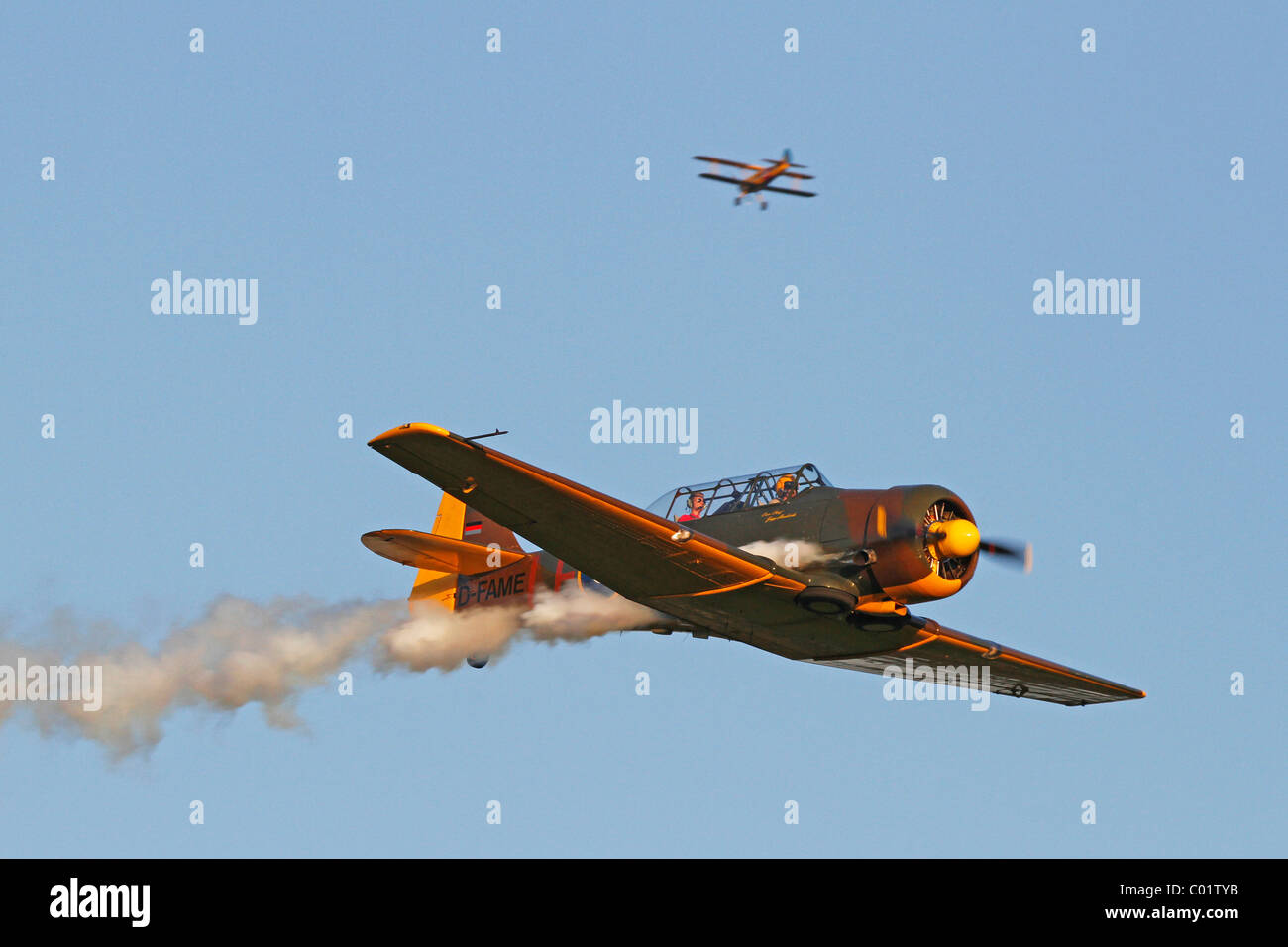 Aerei vintage, North American Harvard T 6, Breitscheid Airshow 2010, Hesse, Germania, Europa Foto Stock