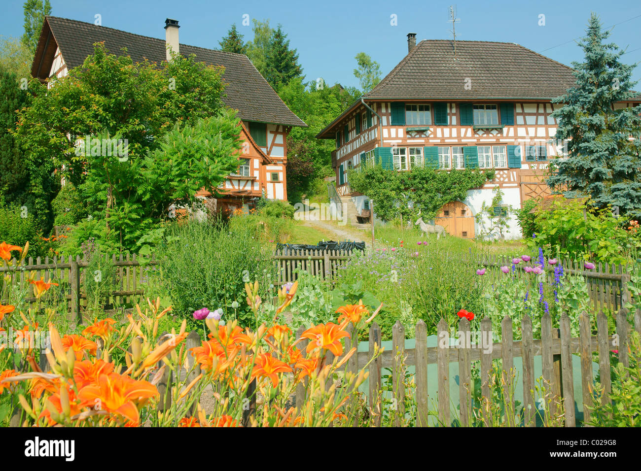 Case coloniche con Giardini da cottage in Amlikon-Bissegg, Canton Turgovia, Svizzera, Europa Foto Stock