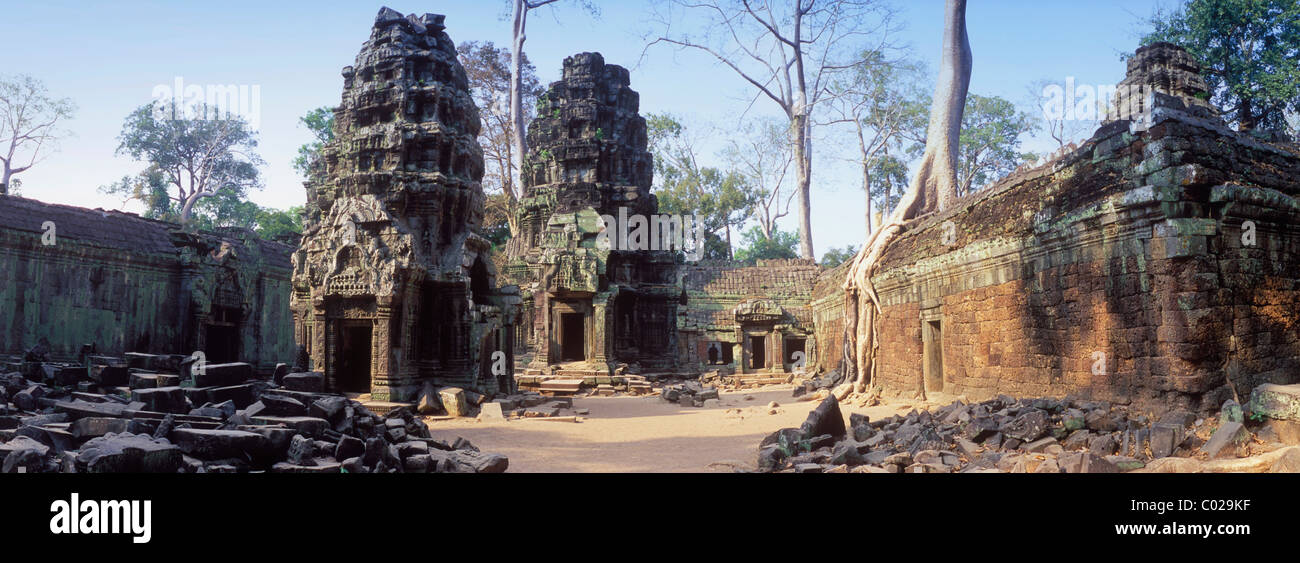 Ta Prohm tempio, i templi di Angkor, Siem Reap, Cambogia, Indocina, sud-est asiatico Foto Stock