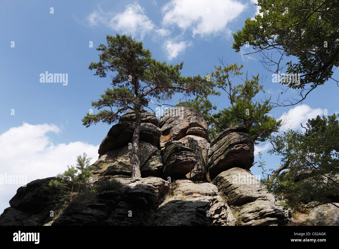 Hoher Stein montagna, Muehlberg, Dunkelsteinerwald, Wachau, Mostviertel, Austria Inferiore, Austria, Europa Foto Stock