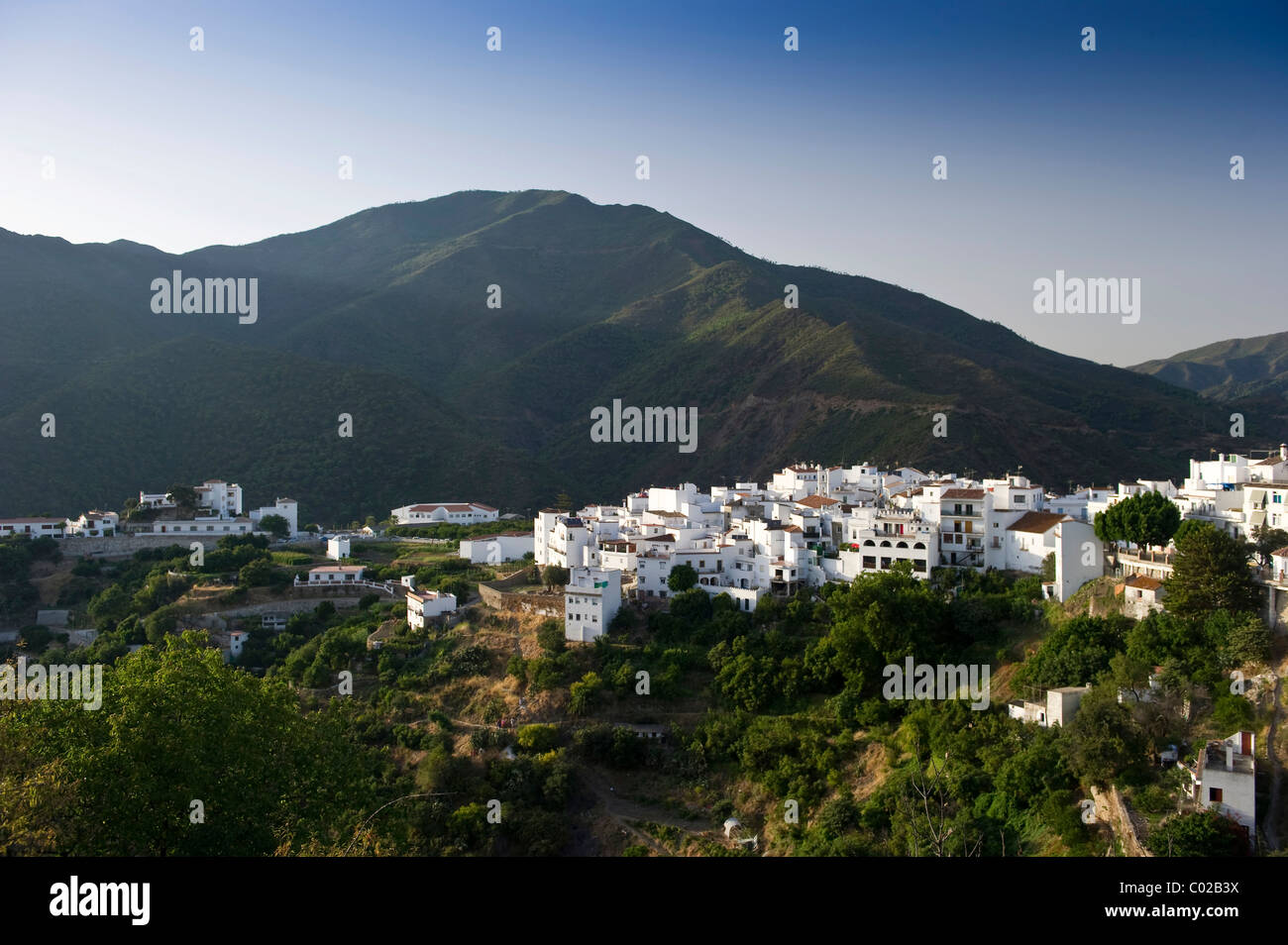 Istán, Costa del Sol, Andalusia, Spagna, Europa Foto Stock