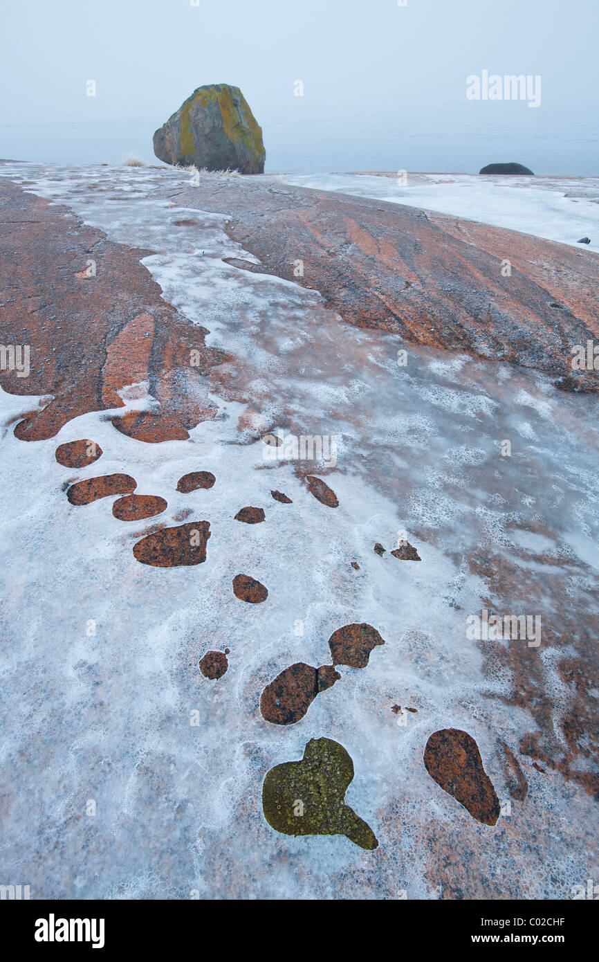 Icy lastre rocciose e la nebbia a Saltholmen in Saltnes, Råde kommune, Østfold fylke, Norvegia. Foto Stock