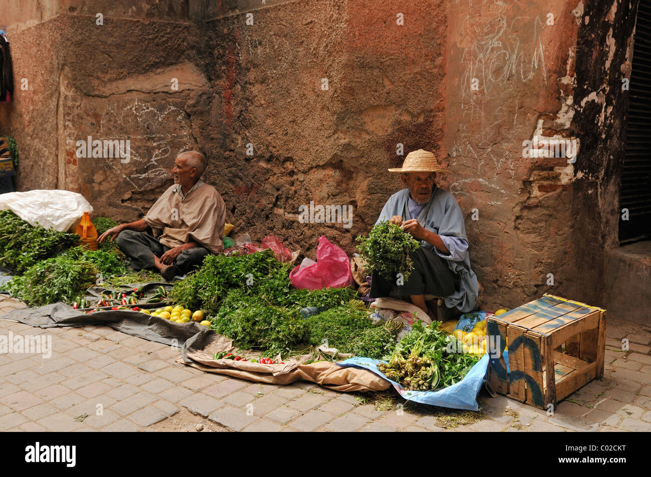 Il vecchio uomo vendere le verdure e le erbe nella Medina di Marrakech, Sito Patrimonio Mondiale dell'Unesco, Marocco, Africa del Nord Foto Stock