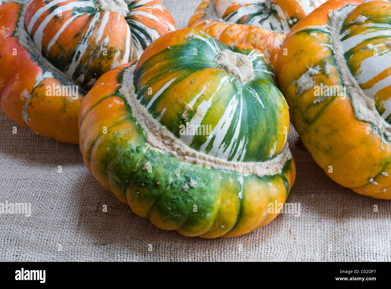 Turk il turbante zucche, (Cucurbita maxima). Foto Stock