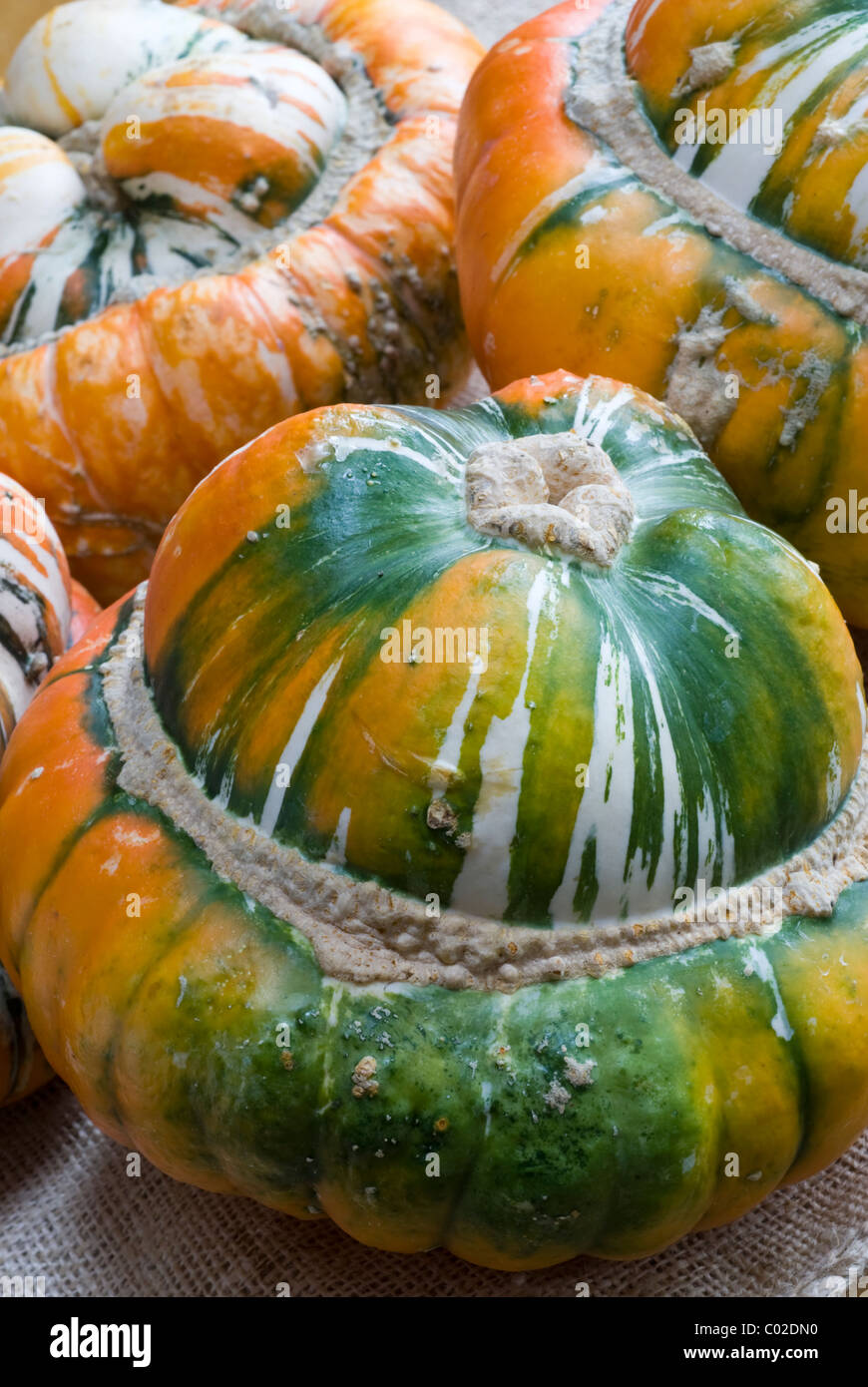 Turk il turbante zucche, (Cucurbita maxima). Foto Stock