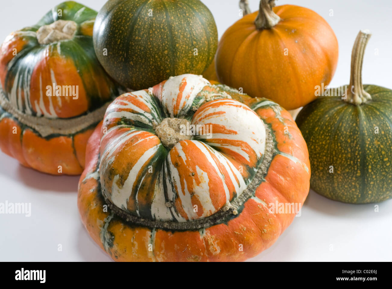 Turk il turbante zucche, (Cucurbita maxima) e Baby Orso Zucca (Cucurbita pepo). Foto Stock