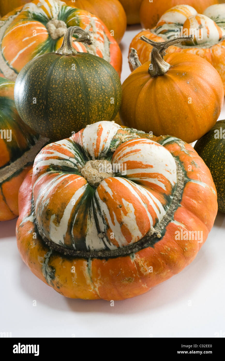 Turk il turbante zucche, (Cucurbita maxima) e Baby Orso Zucca (Cucurbita pepo). Foto Stock
