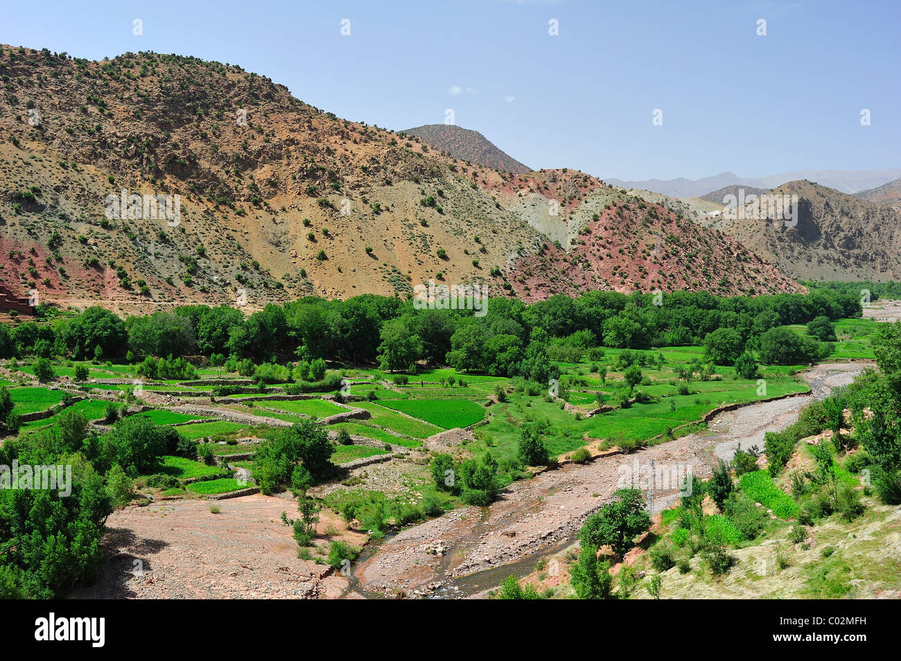 Superfici irrigate River Valley con piccoli campi e alberi, agricoltura, Alto Atlante, Marocco, Africa Foto Stock