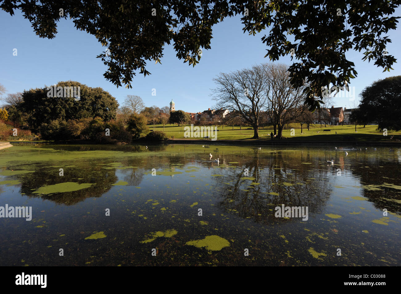 Queens Park stagno in Brighton East Sussex Regno Unito Foto Stock