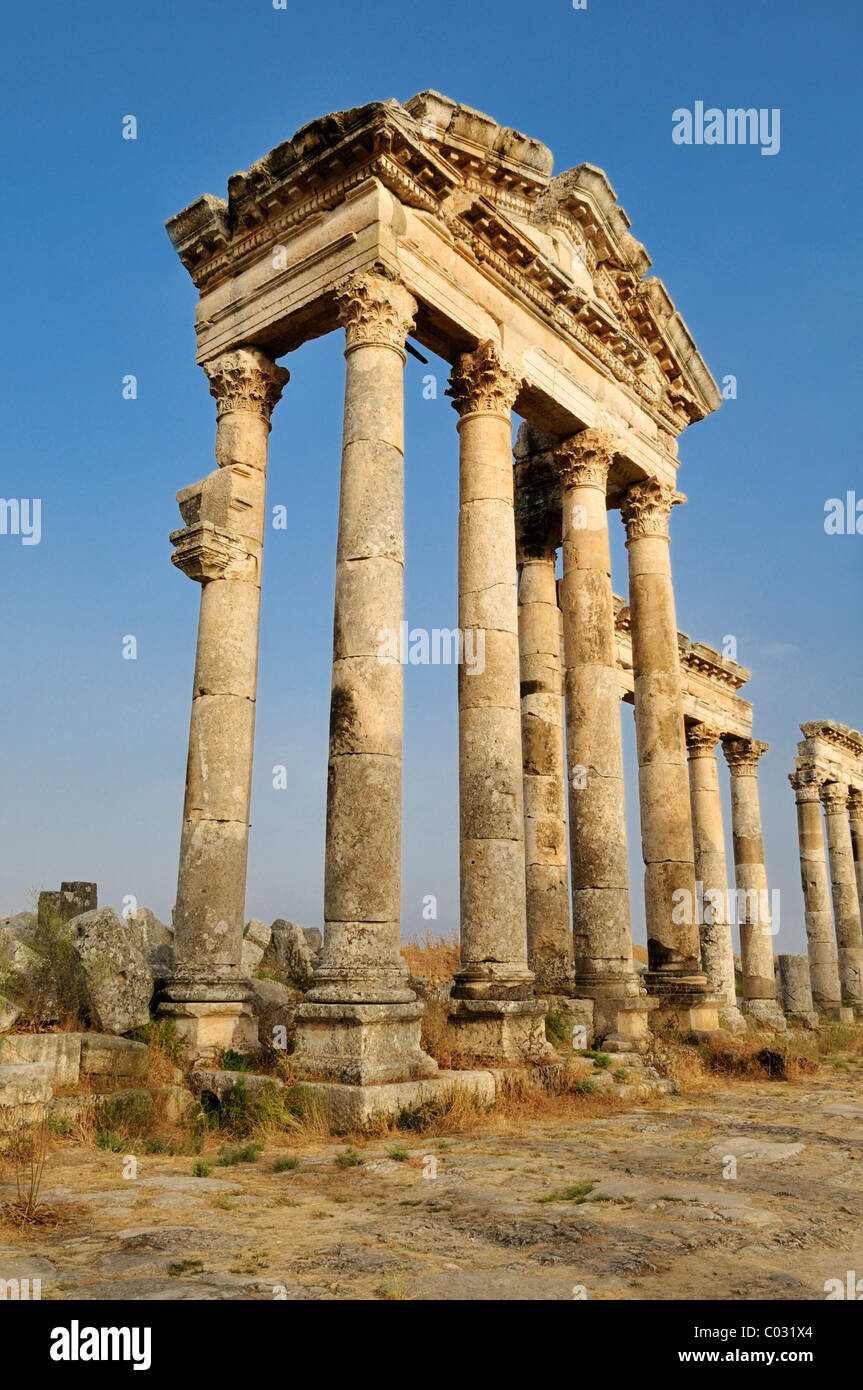 Rovine presso il sito archeologico romano di Apameia, Apamea, Qalaat al Mudiq, Siria, Medio Oriente e Asia Orientale Foto Stock