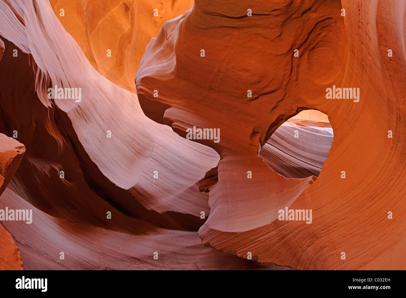 Roccia forme, colori e strutture nell'Antelope Canyon Slot, Arizona, Stati Uniti d'America, America Foto Stock