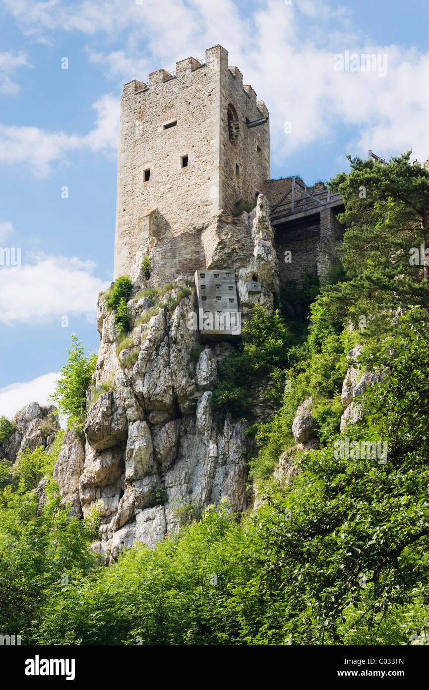 Weissenstein rovine del castello, il Parco Nazionale della Foresta Bavarese, Bassa Baviera, Germania, Europa Foto Stock