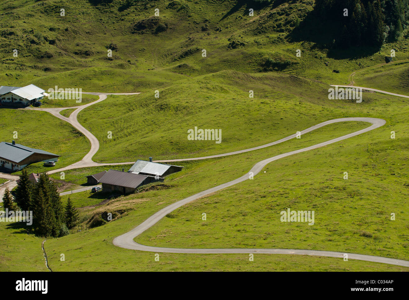 Strada alpina su Mt. Monte Horn, Tirolo, Austria, Europa Foto Stock