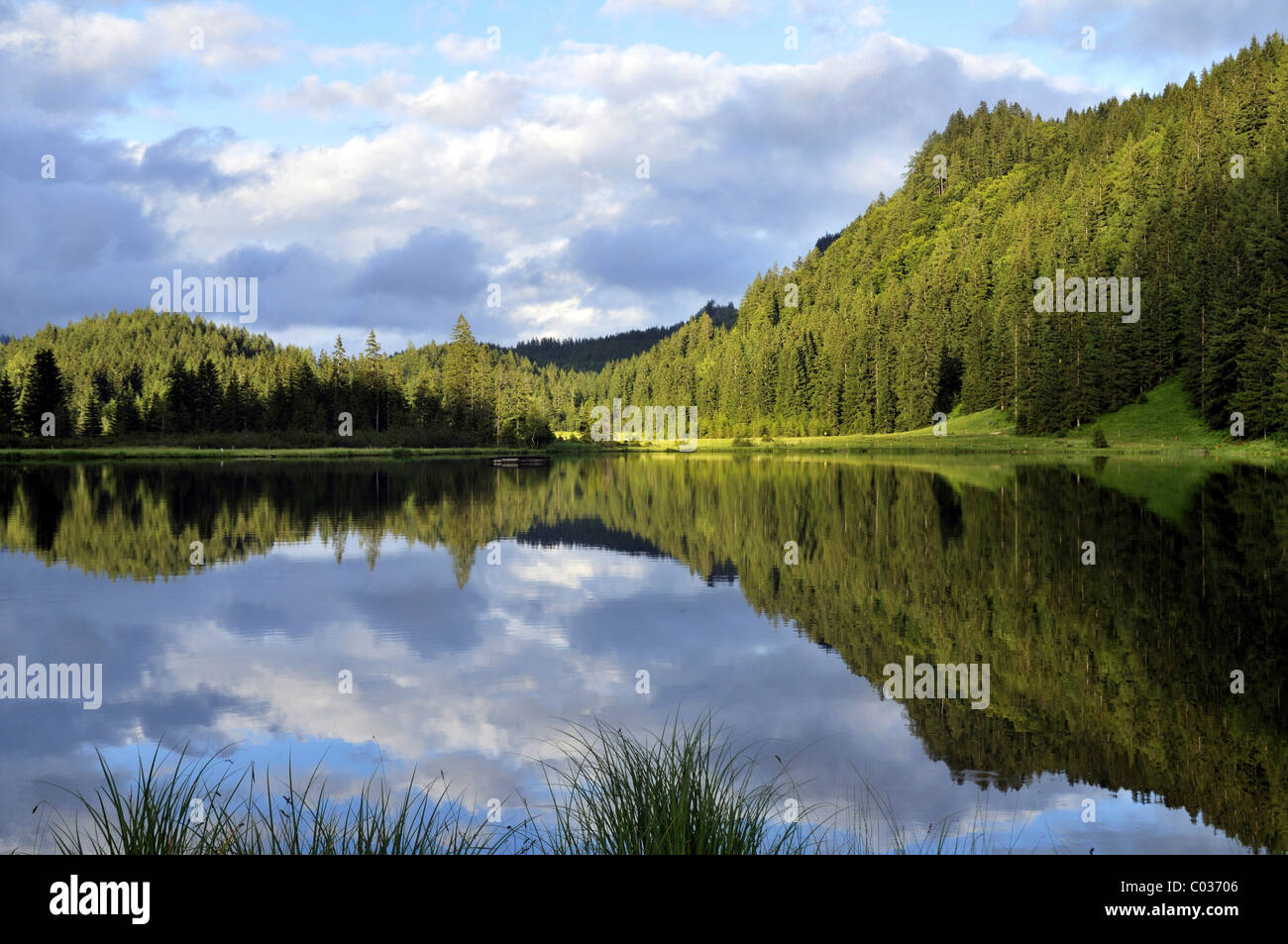 Lago Spechtensee, riflessioni su una collina boschiva nell'acqua, paesaggio tra Tauplitz e Liezen, Salzkammergut, Stiria Foto Stock