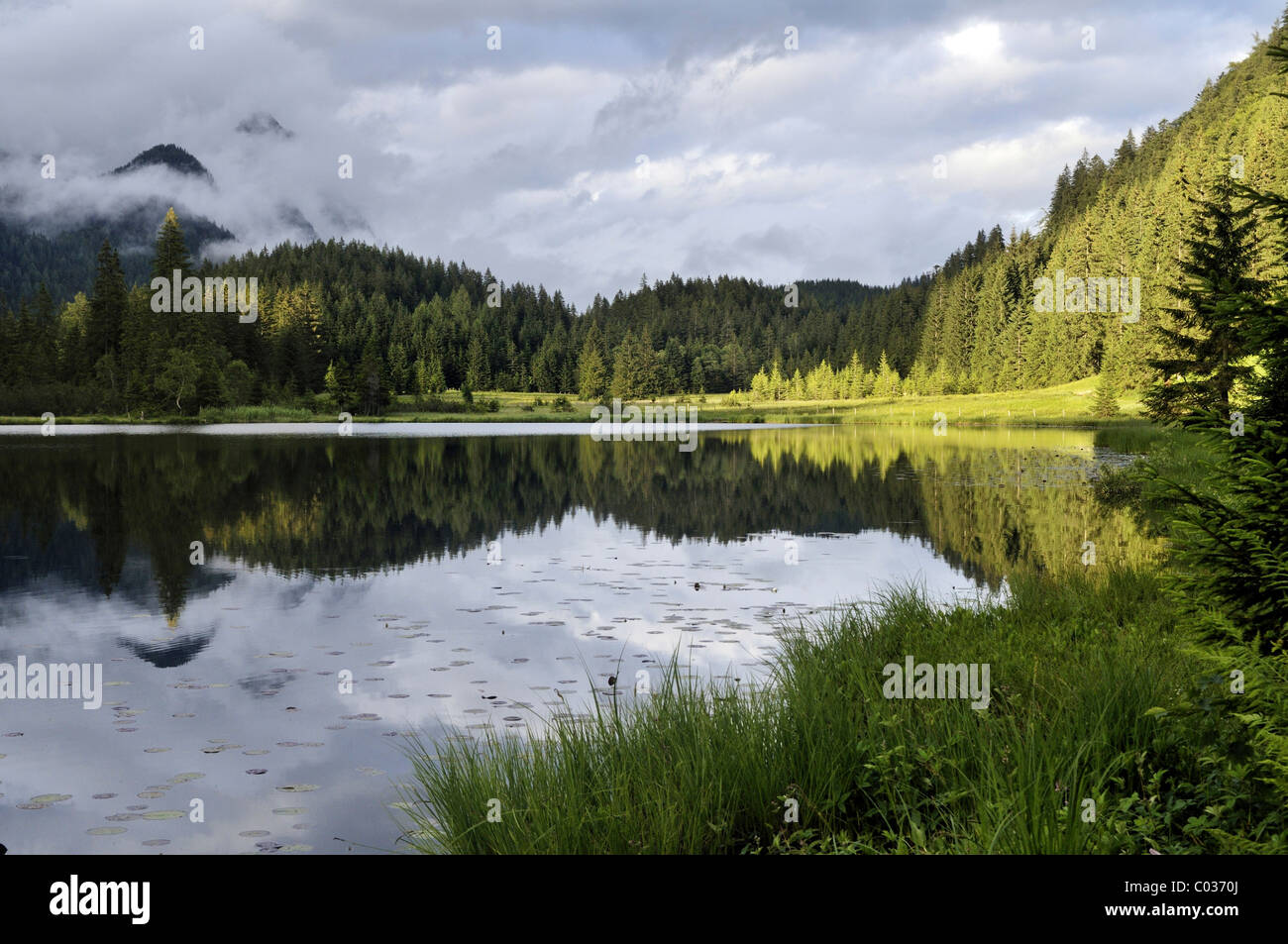 Spechtensee, riflessioni di colline boscose nell'acqua, paesaggio tra Tauplitz e Liezen, Salzkammergut, Stiria, Austria Foto Stock