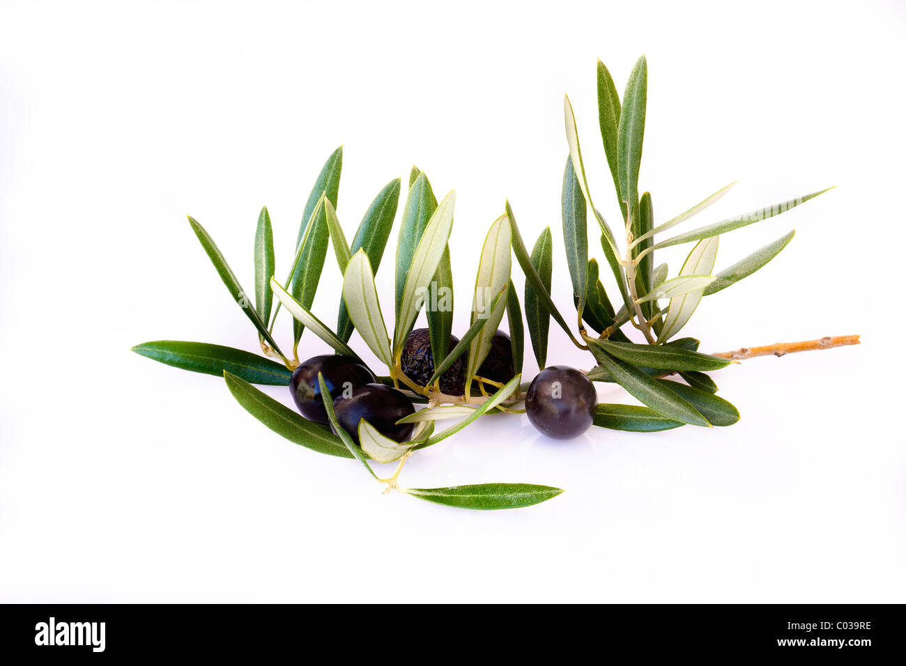 Olive con foglie isolato Foto Stock