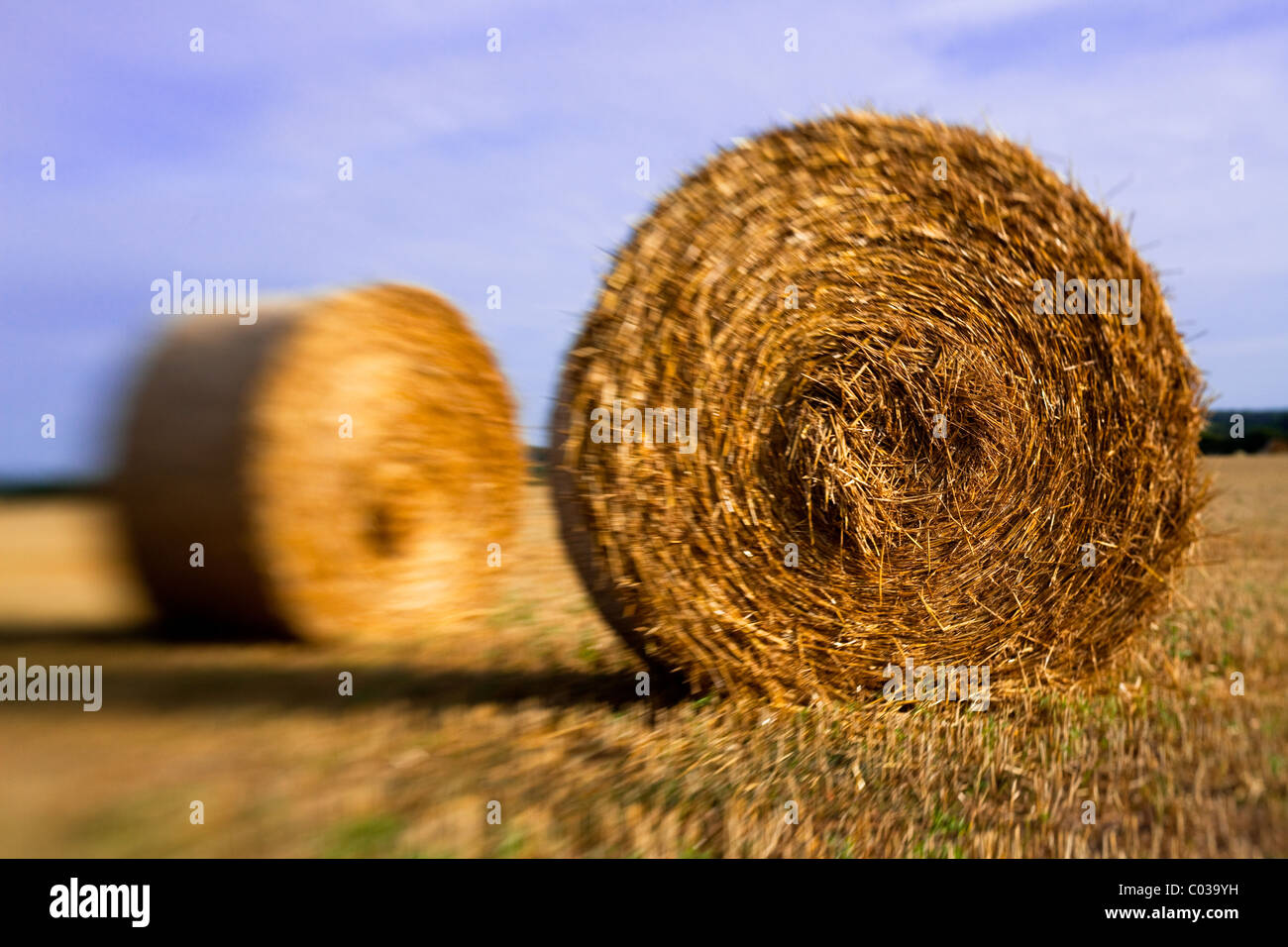 Balla di fieno immagini e fotografie stock ad alta risoluzione - Alamy