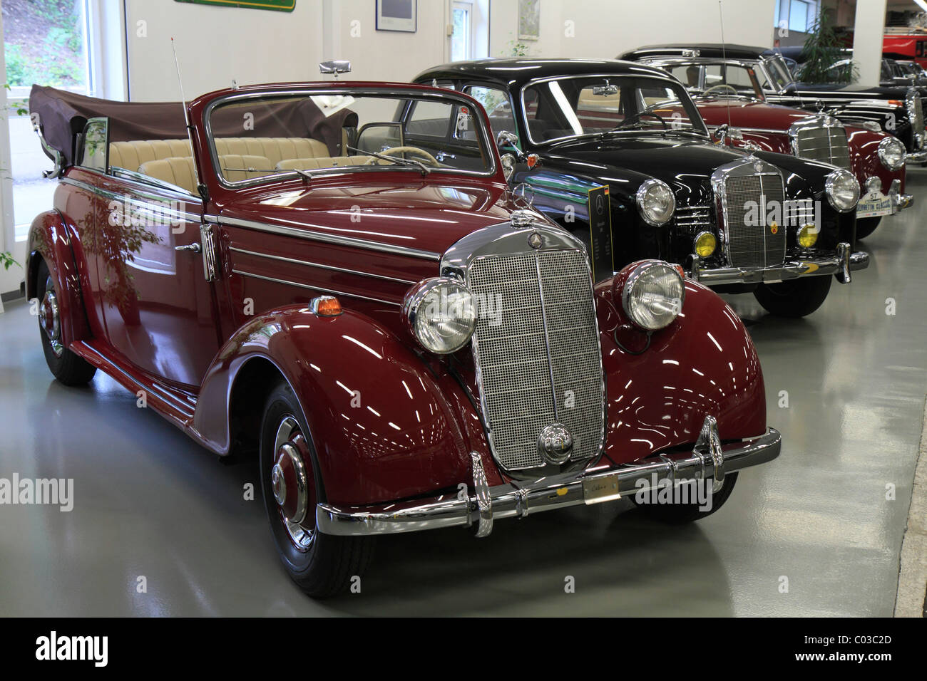 Vintage Mercedes-Benz Cars, Autosammlung Steim car museum, Schramberg, Foresta Nera, Germania, Europa Foto Stock