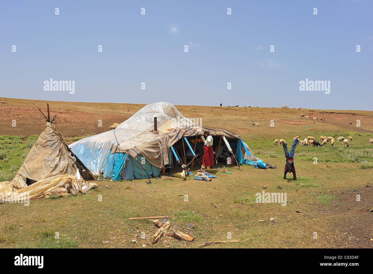 Nomade della tenda coperto con teli di plastica contro la pioggia, nomad boy facendo un handstand, Medio Atlante in Marocco Foto Stock