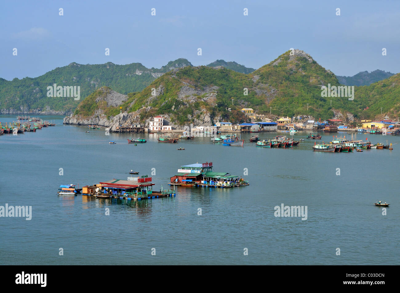 Porto di Cat Ba, Halong Bay, Vietnam, sud-est asiatico Foto Stock