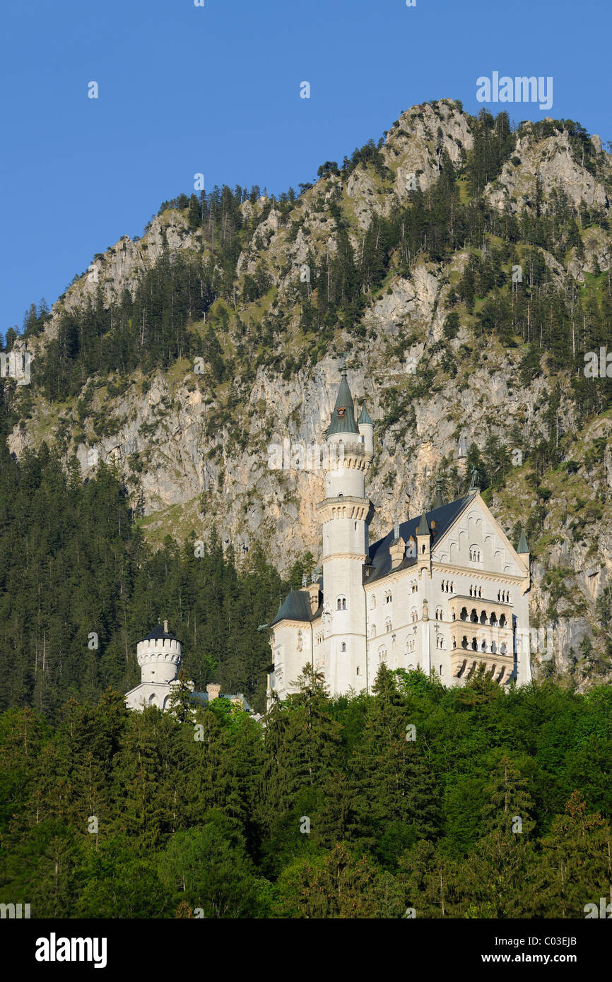Schloss Castello di Neuschwanstein, Schwanensee, Fuessen, Tegelberg, Alta Baviera, Baviera, Germania, Europa Foto Stock