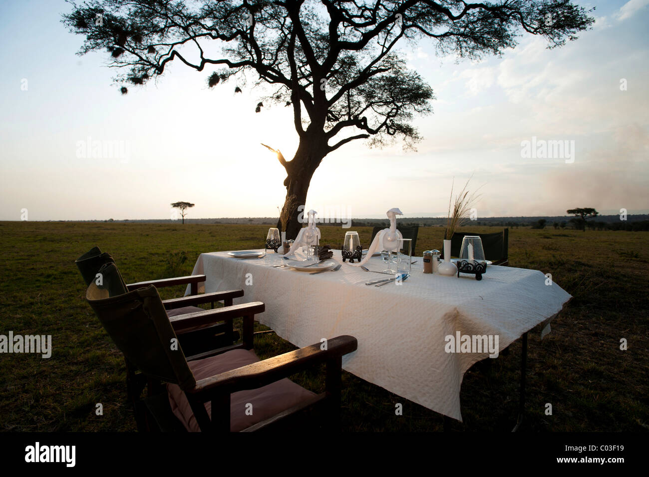 Elegante e lussuoso camp, tavolo per la cena, vivono sotto tela, Serengeti, Tanzania Africa Foto Stock