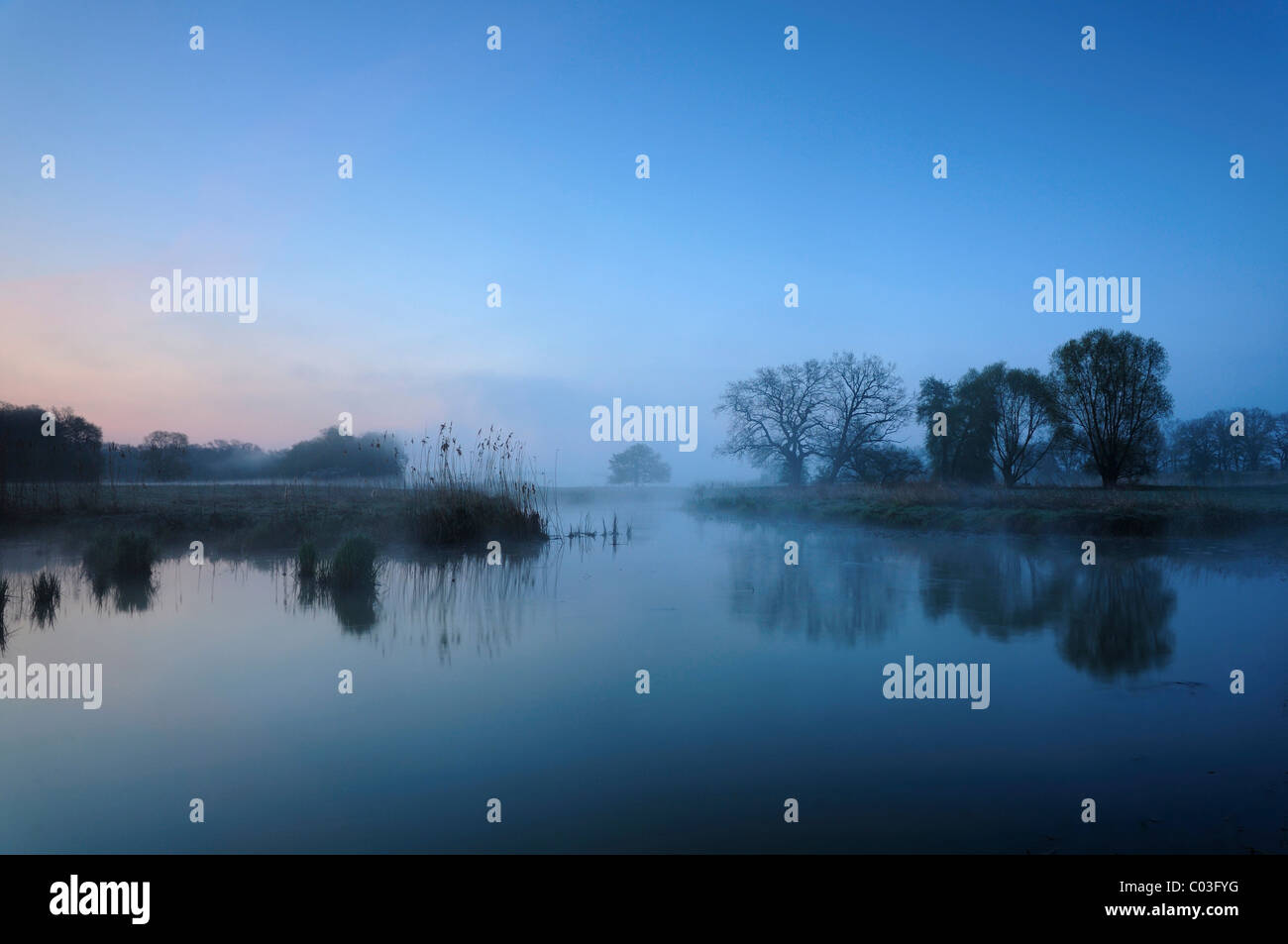 La nebbia di mattina in un lago nel fiume Elba golenali a Dessau, Sassonia-Anhalt, Germania, Europa Foto Stock
