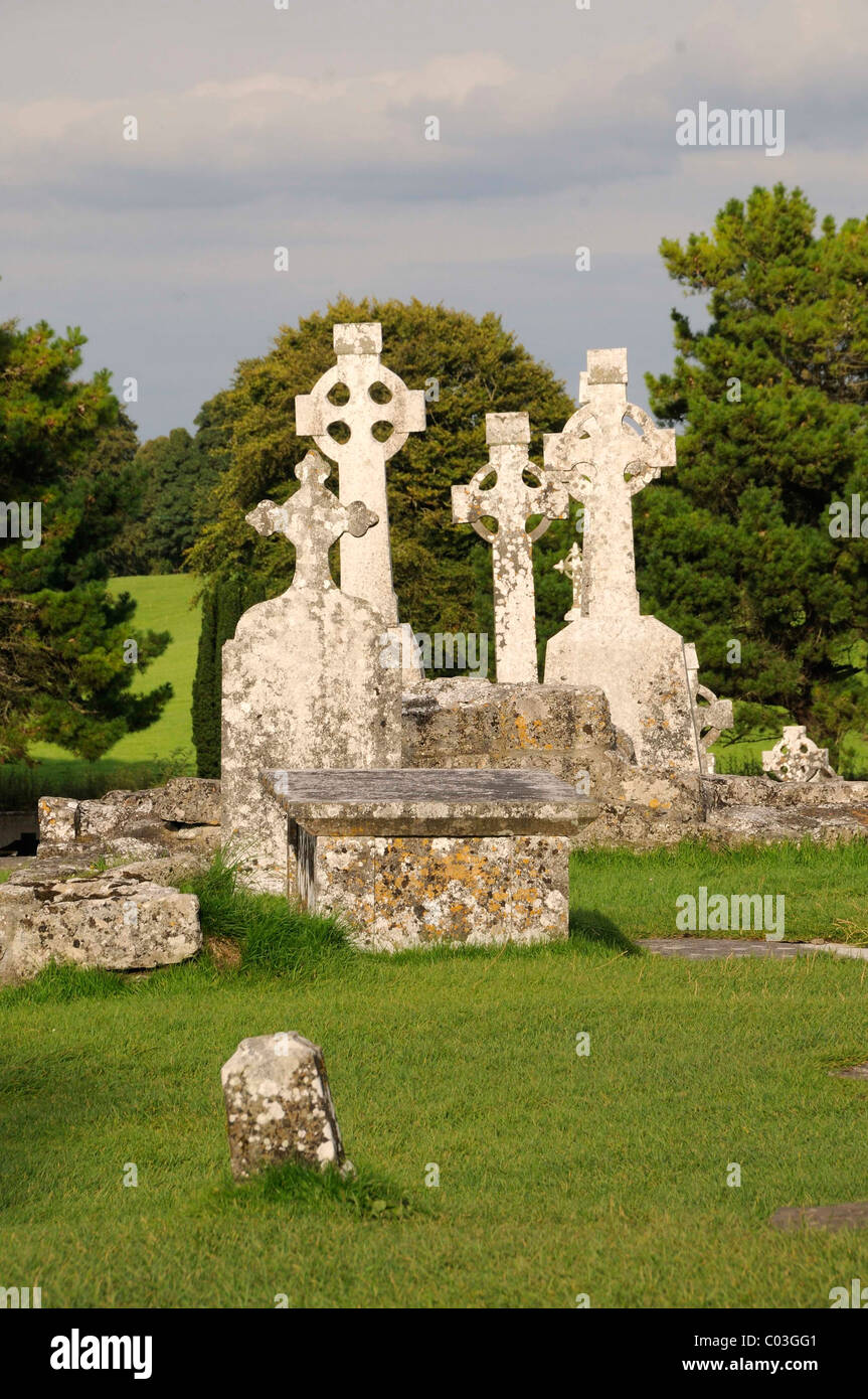 Alta attraversa le rovine del monastero di Clonmacnoise sullo Shannon, Midlands, Repubblica di Irlanda, Europa Foto Stock