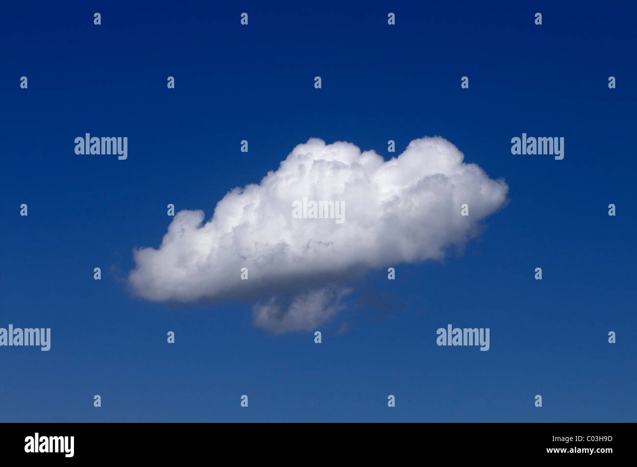 Cumulus cloud contro un cielo blu Foto Stock