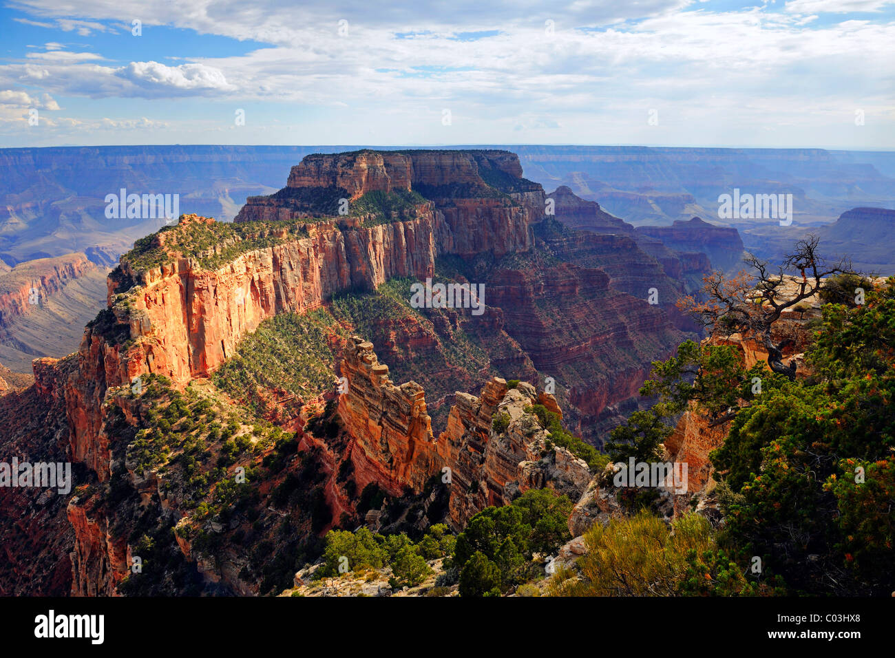 Atmosfera serale, Grand Canyon North Rim, Cape Royal, Arizona, Stati Uniti d'America, America Foto Stock