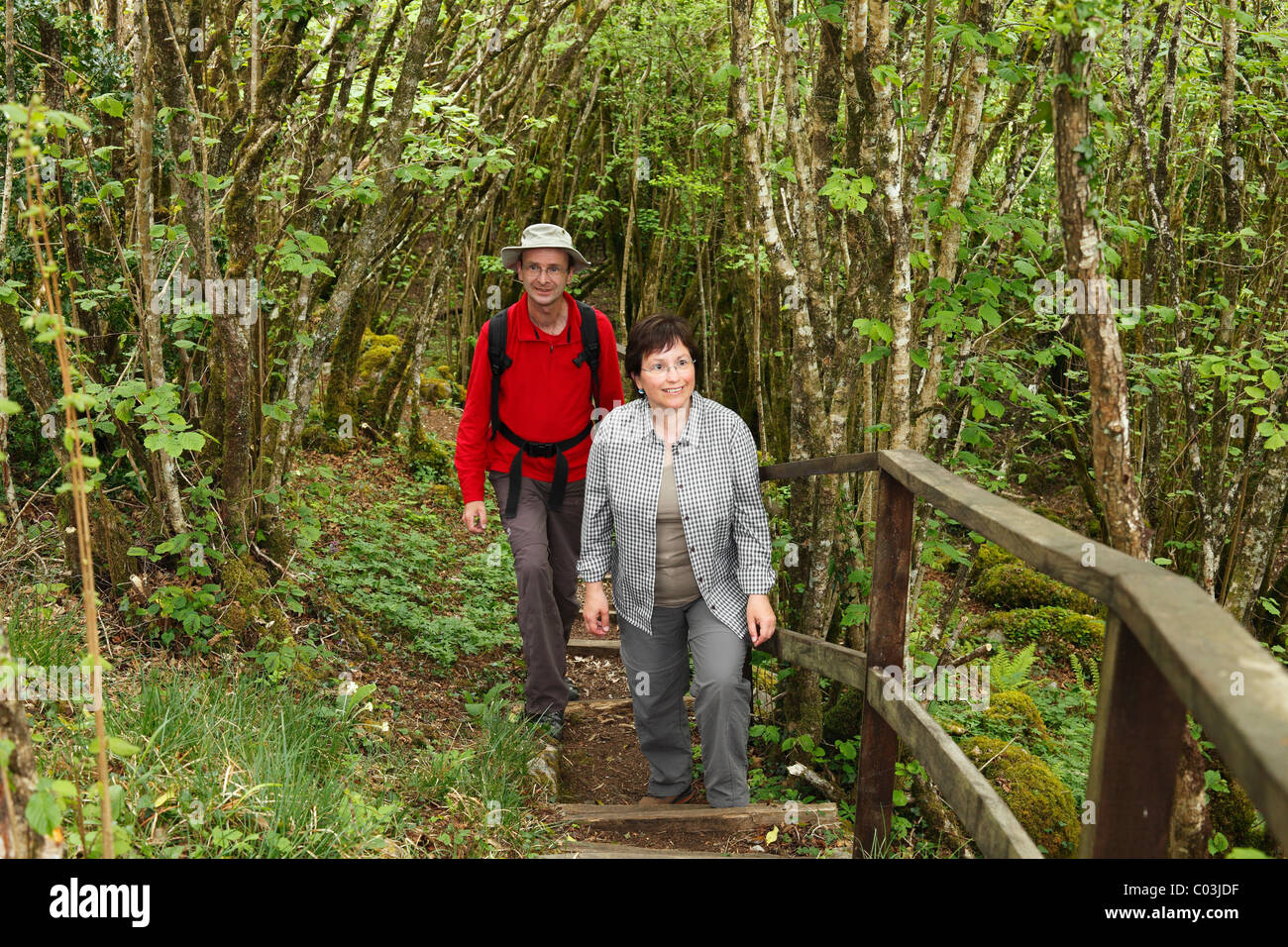 Gli escursionisti sulla pista forestale, Burren National Park, County Clare, Irlanda, Europa Foto Stock