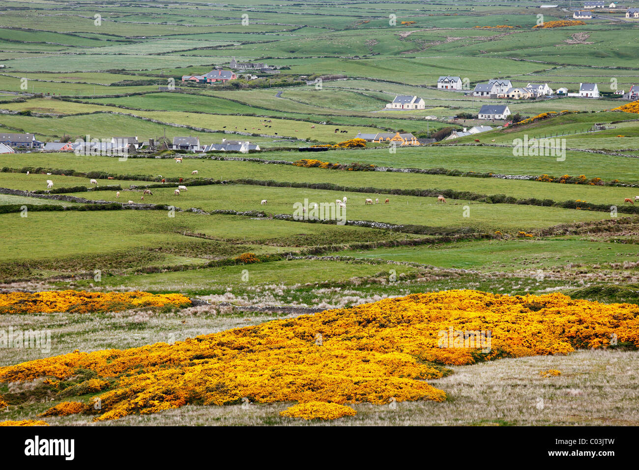 Terra di pascolo intorno a Doolin, Burren, County Clare, Irlanda, Europa Foto Stock