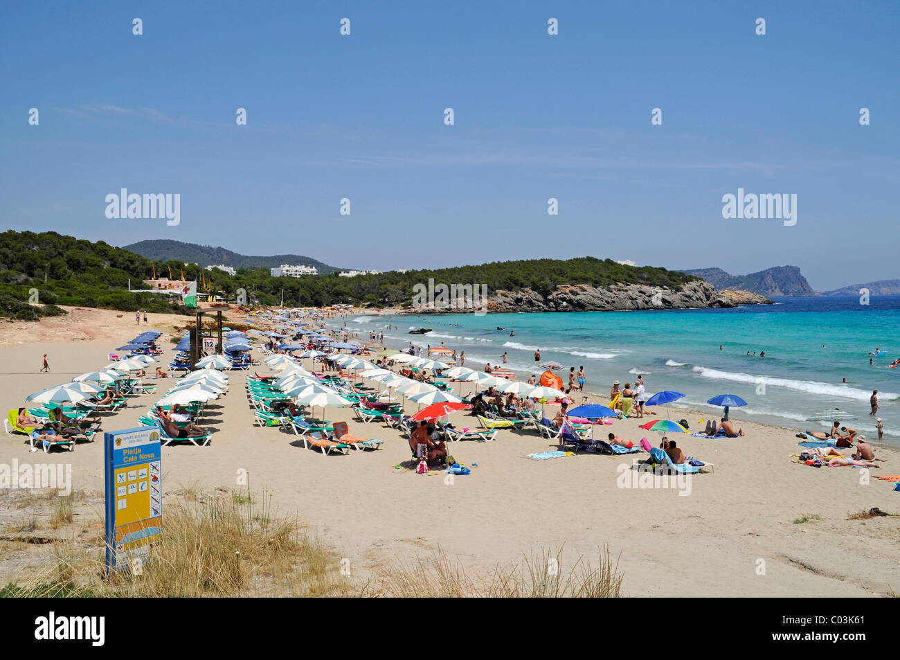 Cala Nova Bay, la spiaggia di Santa Eulalia des Riu, Santa Eulalia del Rio, isola di Ibiza, Pityuses, isole Baleari, Spagna, Europa Foto Stock