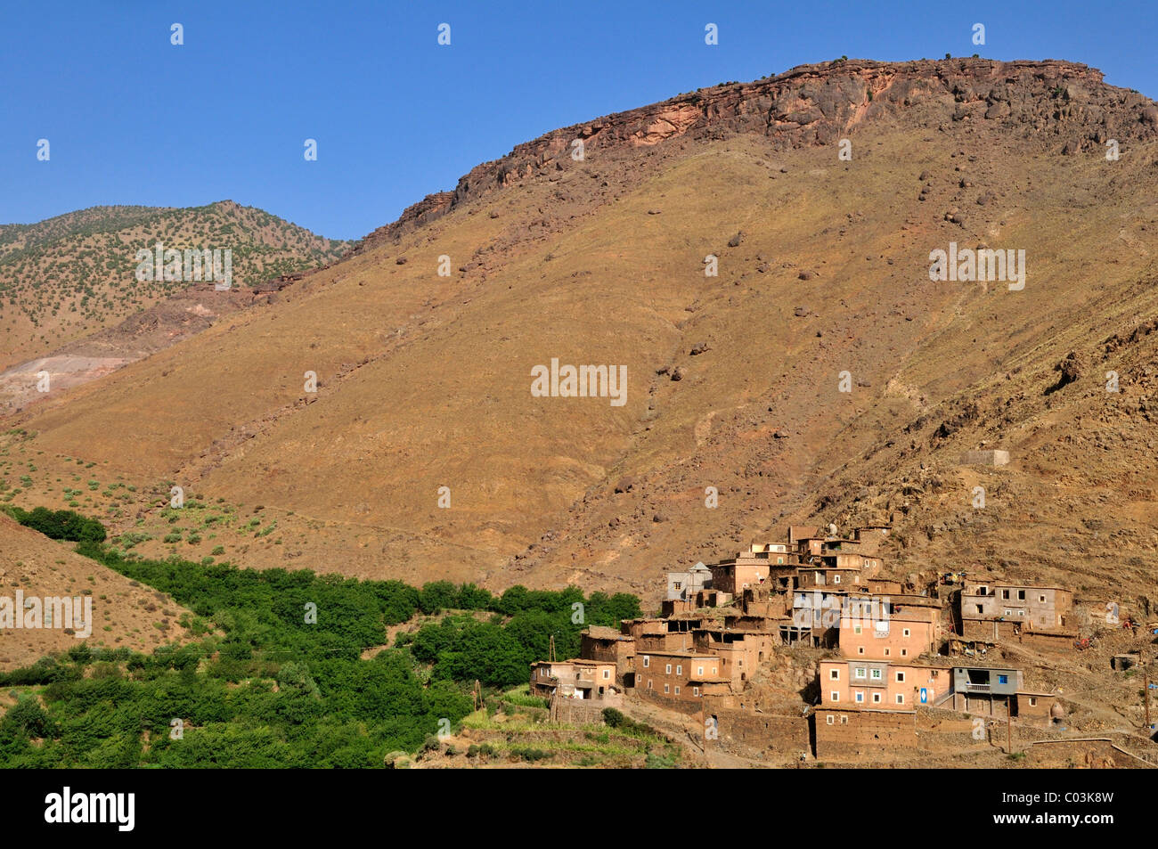 Villaggio berbero in Alto Atlante, Toubkal National Park, Marocco, Africa Settentrionale, Africa Foto Stock