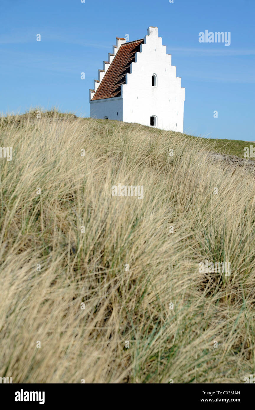 Dune con la torre della sabbia-inghiottito Chiesa sepolta, Skagen, nello Jutland, Danimarca, Europa Foto Stock