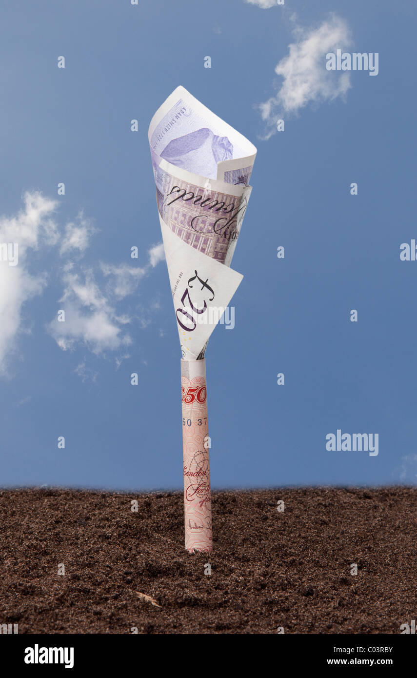 Banca d'Inghilterra € 20 e € 50 note piegati nella forma di un fiore cresce al di fuori del terreno contro un cielo blu con nuvole bianche. Foto Stock