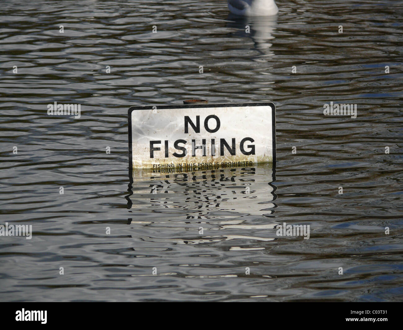 Semi-sommersa 'n' pesca segno Foto Stock