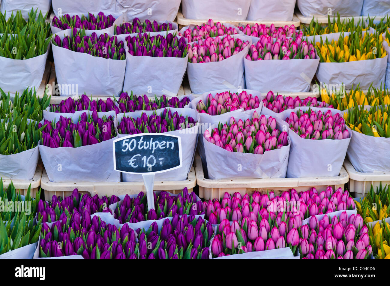 I tulipani in vendita presso il Bloemenmakrt il mercato dei fiori di Amsterdam Foto Stock