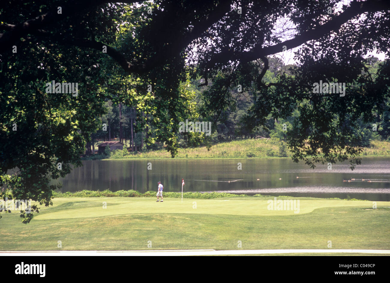 Scenic vista sul lago del campo da Golf è stato il corso originale a Callaway Gardens, Georgia, Stati Uniti d'America. Foto Stock