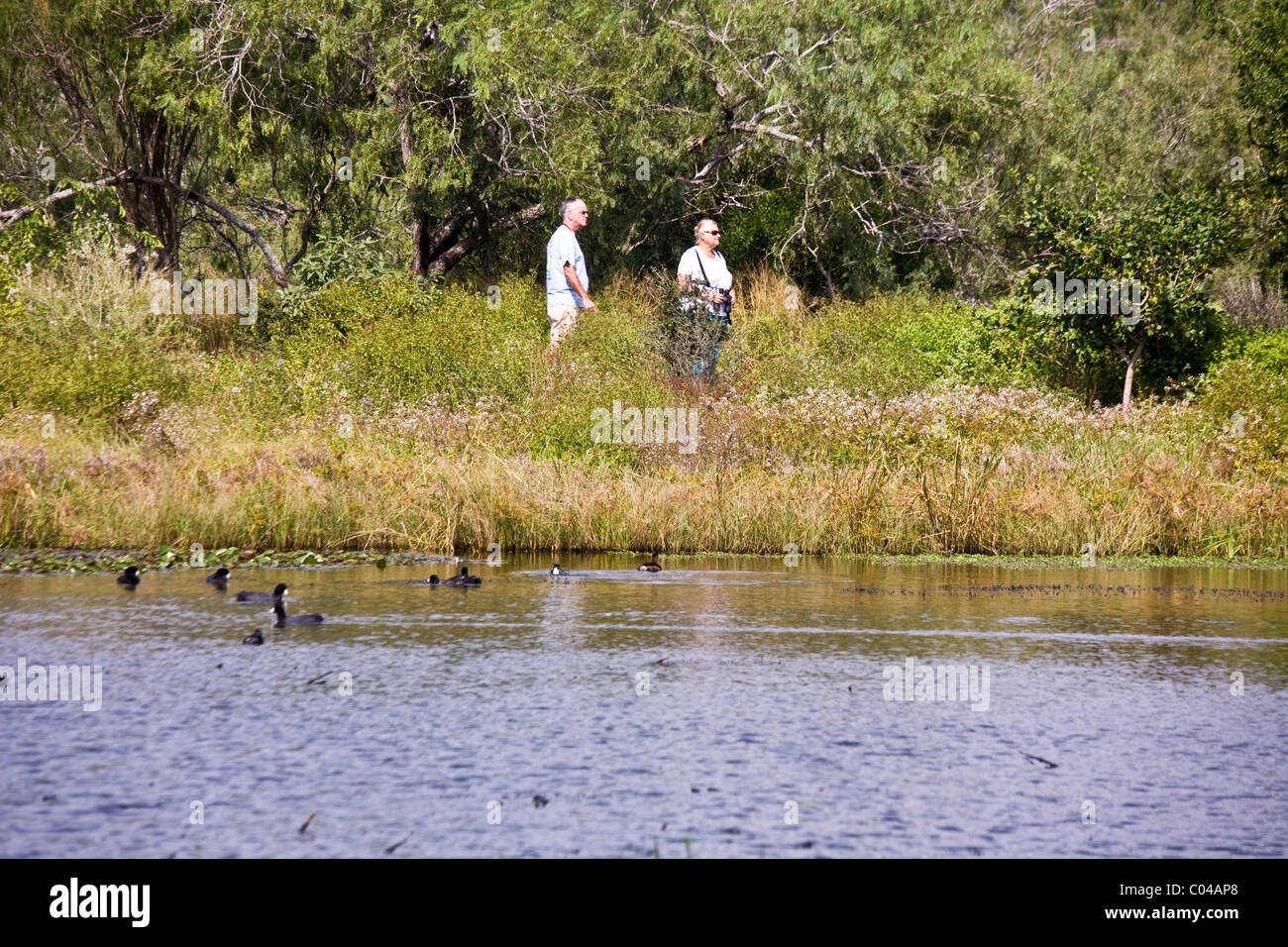 Estero Llano Grande State Park, Weslaco, Texas Foto Stock