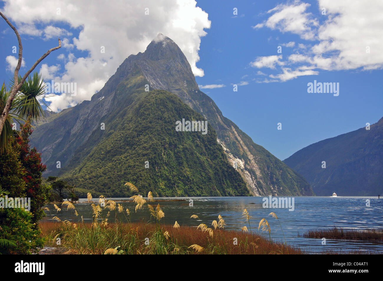 Mitre Peak, Milford Sound, Parco Nazionale di Fiordland Southland, Regione, Isola del Sud, Nuova Zelanda Foto Stock