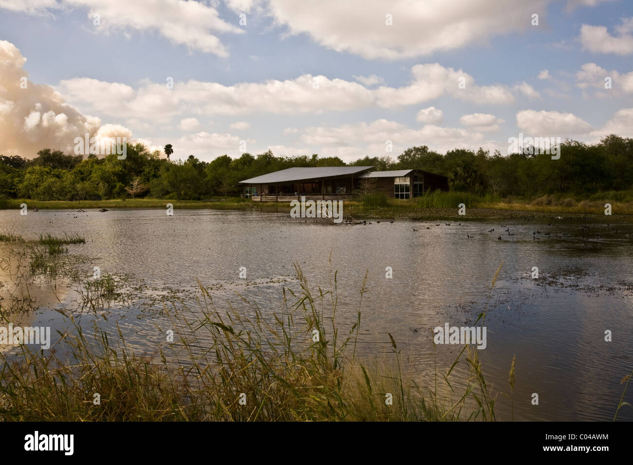 Estero Llano Grande State Park, Weslaco, Texas Foto Stock