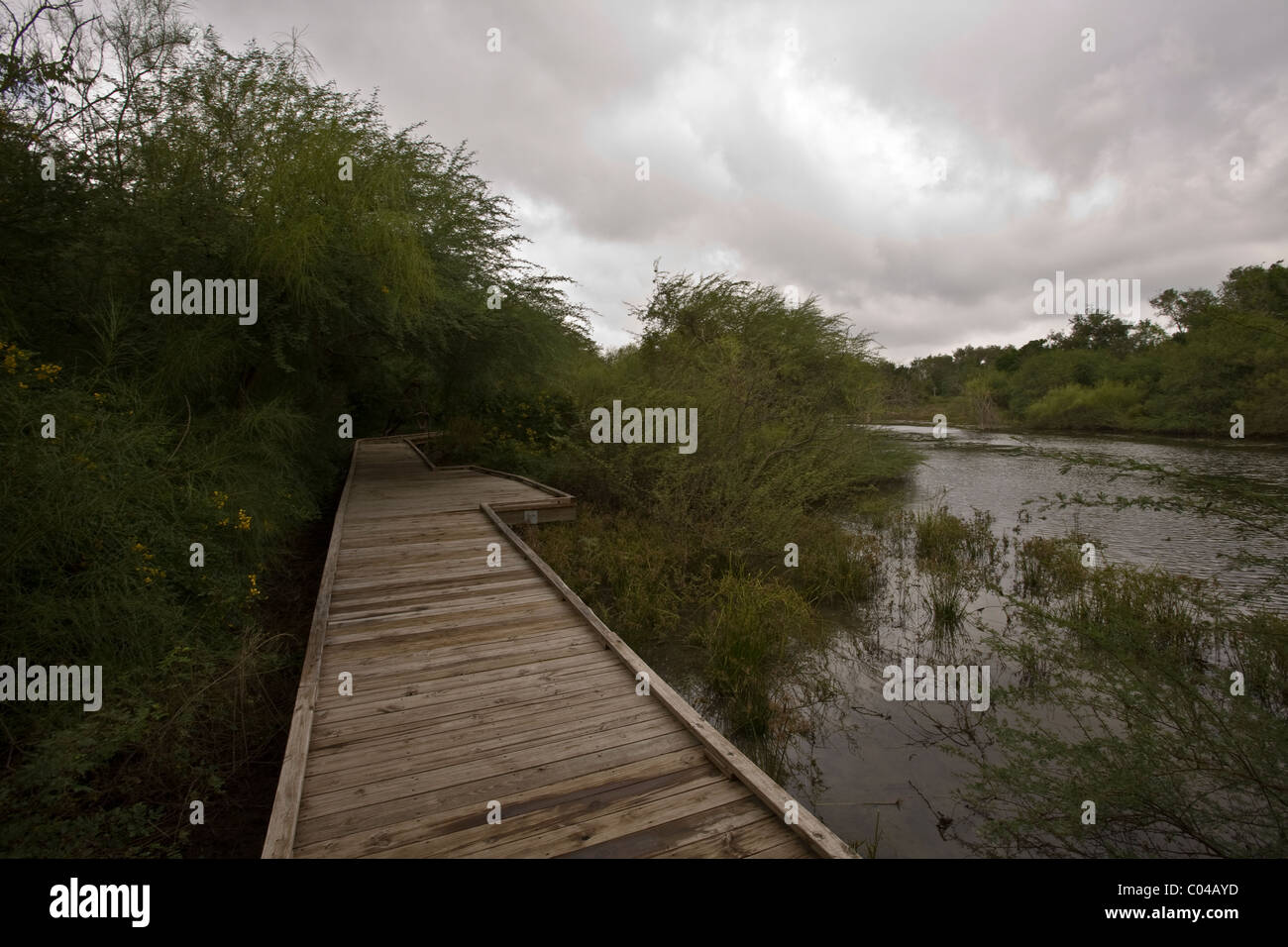 Resaca de la Palma del parco statale, vicino a Brownsville, Texas Foto Stock