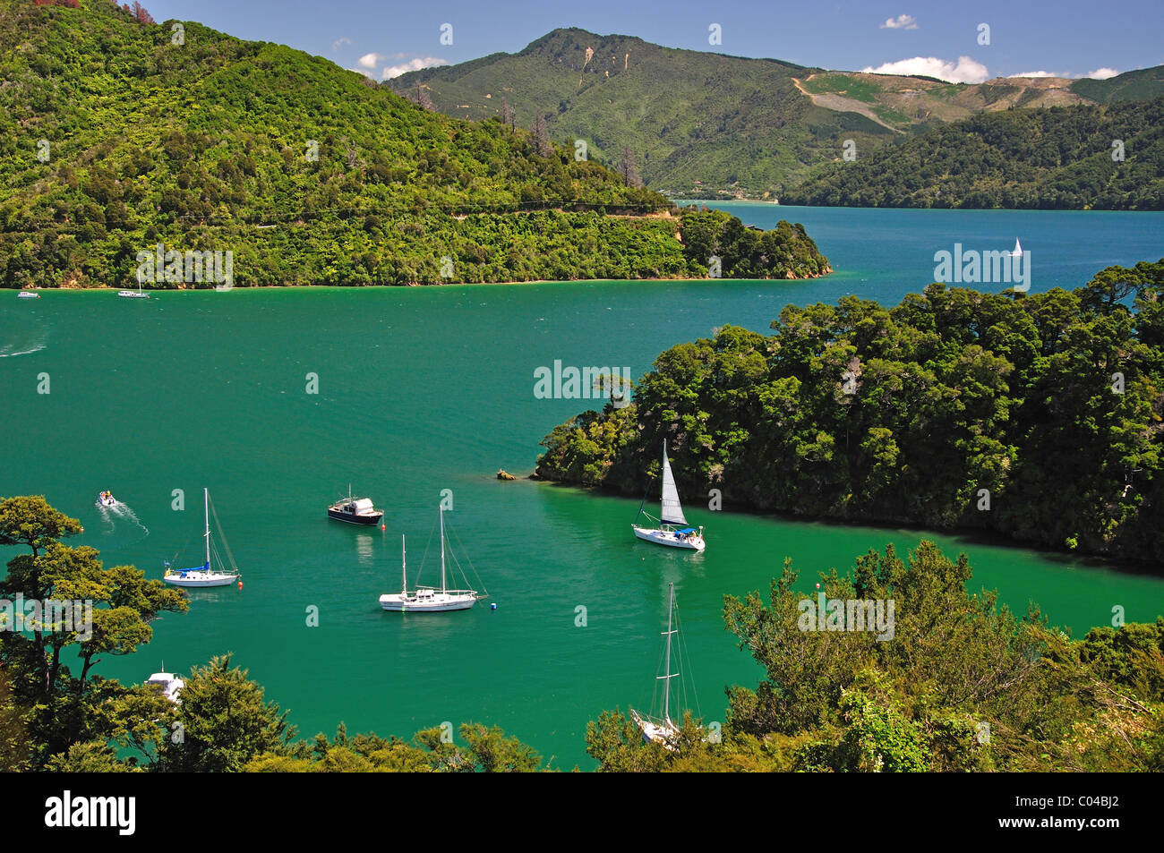 Whenuanui Bay da Queen Charlotte Drive, Queen Charlotte Sound, Marlborough Sounds, Marlborough, Isola del Sud, Nuova Zelanda Foto Stock