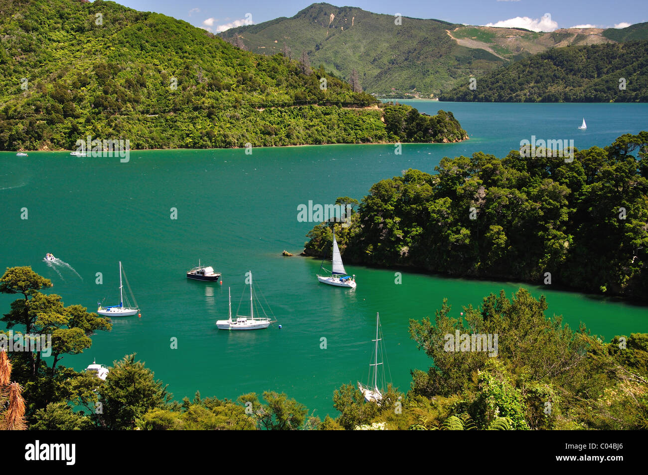 Whenuanui Bay da Queen Charlotte Drive, Queen Charlotte Sound, Marlborough Sounds, Marlborough, Isola del Sud, Nuova Zelanda Foto Stock