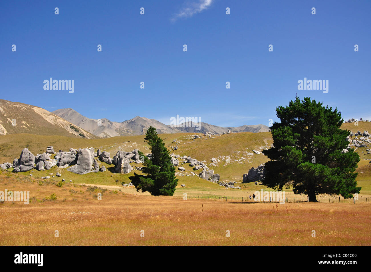 La Collina del Castello rocce, Castle Hill High Country stazione, Strada Statale 73, regione di Canterbury, Isola del Sud, Nuova Zelanda Foto Stock