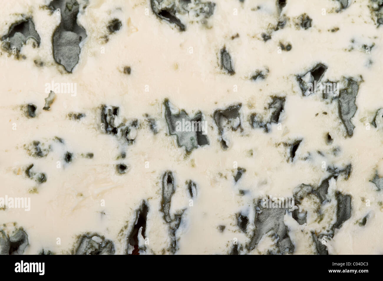 Venature blu pieno di grasso morbido formaggio francese di sfondo o texture. Foto Stock